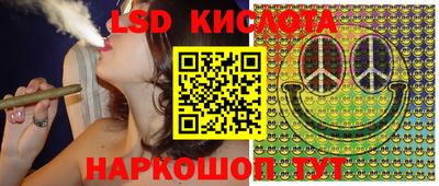 сатива Сланцы