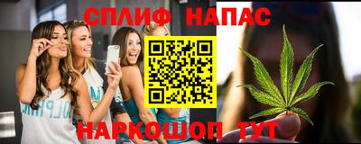 сатива Сланцы