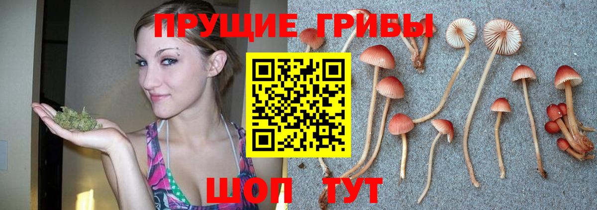 Галлюциногенные грибы прущие грибы  где можно купить   Нефтекумск  Вход с VPN 